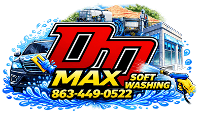 DDMAX Soft Washing